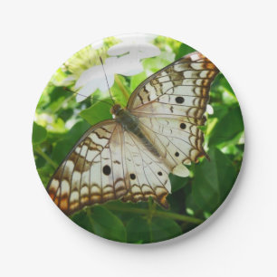 Assiettes En Carton Papillon sur Jasmin Photographie de la nature trop