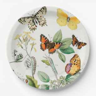 Assiettes En Carton Papillons, chenilles de William Forsell Kirby