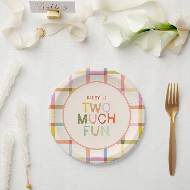Assiettes En Carton Pastel Plaid "Two Many Fun" 2e anniversaire person (Mariage)