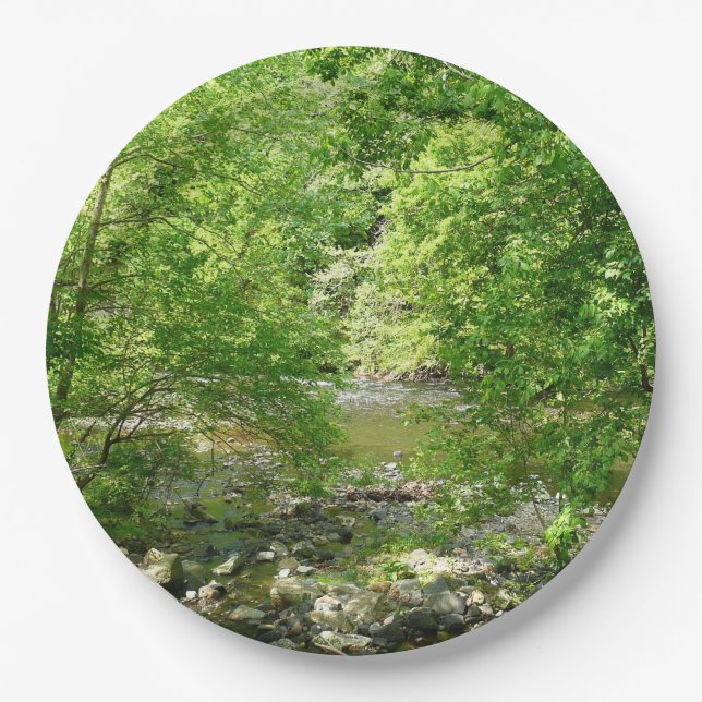 Assiettes En Carton Patapsco River View Maryland Nature Photographie (Devant)