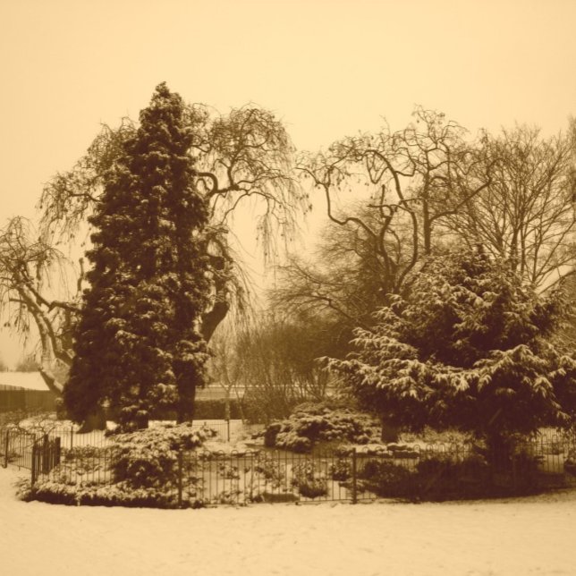 Assiettes En Carton paysage de neige paysage original sepia photo (Créateur téléchargé)