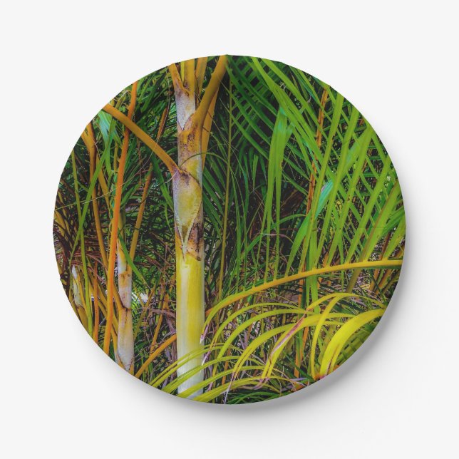 Assiettes En Carton Perdu dans Areca Palms Plaque papier (Devant)