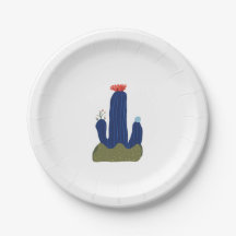 Petit cactus