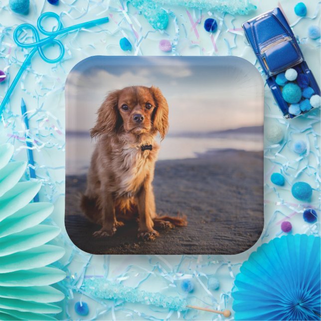 Assiettes En Carton Petit chien mignon (Fête)