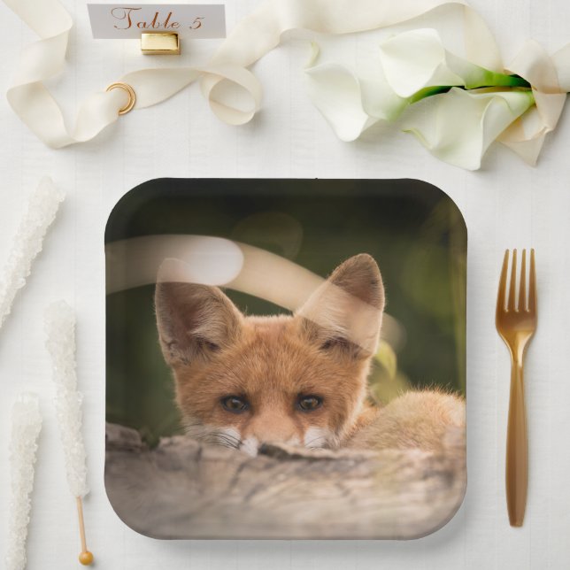 Assiettes En Carton Photo de Cute Little Orange Fox (Mariage)