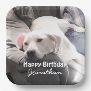 Assiettes En Carton Photo de mignon chien blanc fatigué avec meilleur