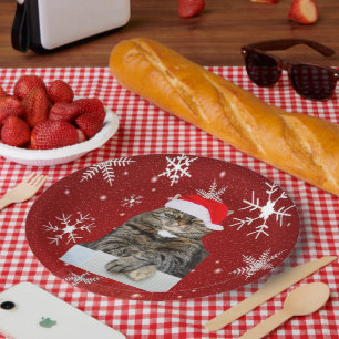 Assiettes En Carton Photo de Noël Humbug de chat avec Santa Hat