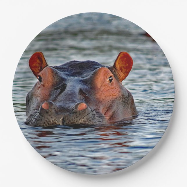 Assiettes En Carton Photo d'eau d'Hippo Faune (Devant)