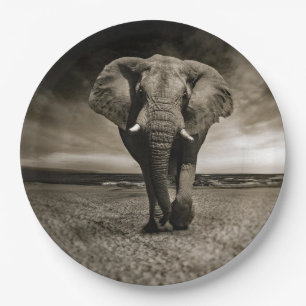 Assiettes En Carton Photo d'éléphant Bull de la faune
