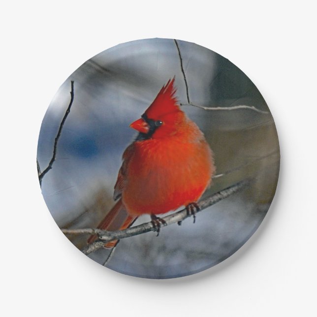 Assiettes En Carton Photo du cardinal Red Winter (Devant)