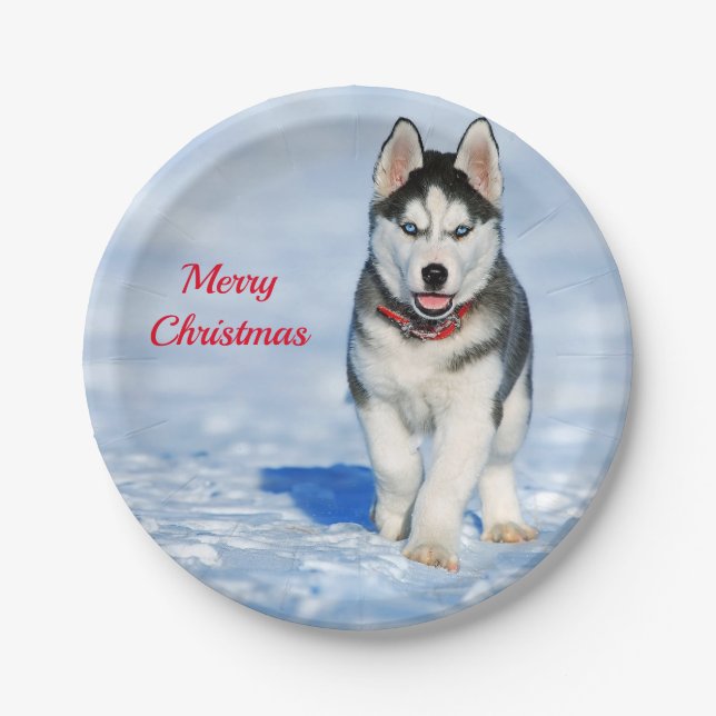 Assiettes En Carton Photo Husky Puppy Neige Noël (Devant)