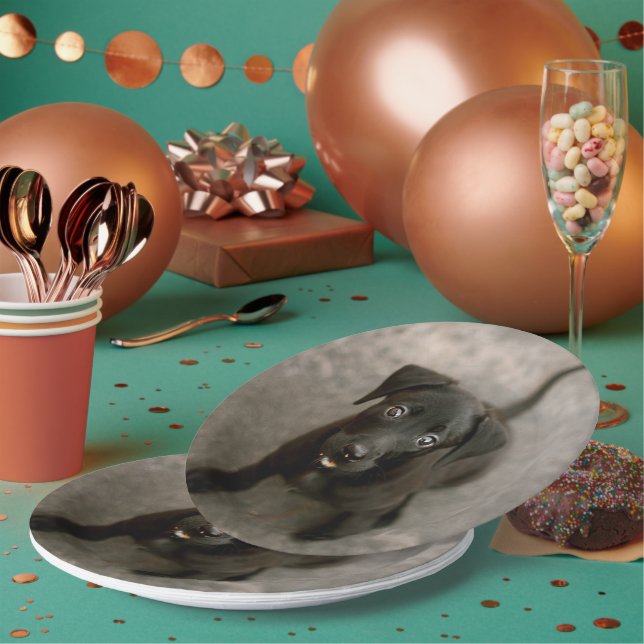 Assiettes En Carton Photo personnalisée pour animaux (Multi)