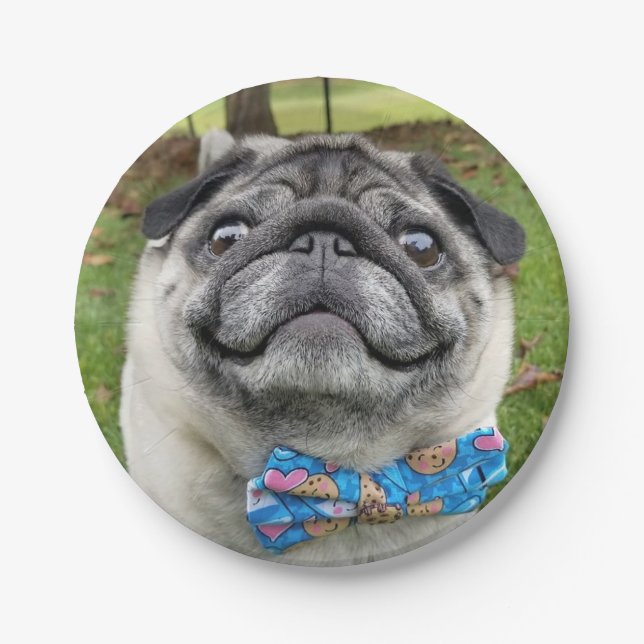 Assiettes En Carton Pickles Paper Plate (Devant)