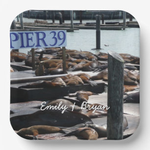 Assiettes En Carton Pier 39 Sea Lions