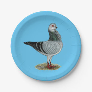 Assiettes En Carton Pigeon italien de Grizzle de hibou