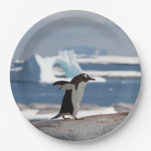 Assiettes En Carton Pingouin devant une arche de glace