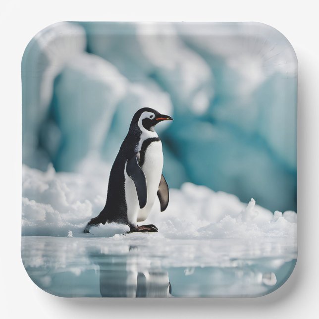 Assiettes En Carton Pingouin Sur Iceberg (Recto)