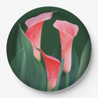 Assiettes En Carton Pink Floral Paper Party Plates