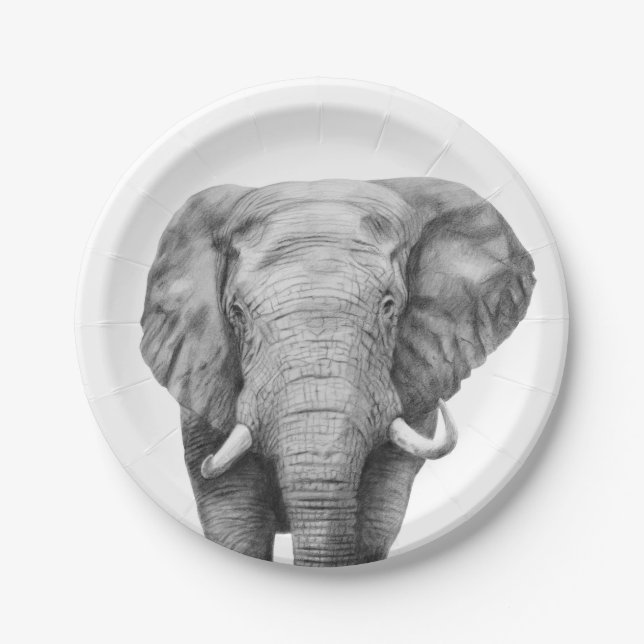 Assiettes En Carton Plan de sauvegarde IV (Devant)