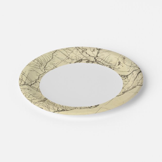 Assiettes En Carton Plan des États-Unis (Angle)
