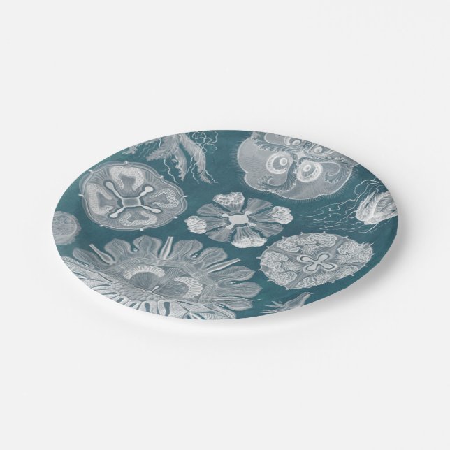 Assiettes En Carton Plan directeur de la vie marine IV (Angle)
