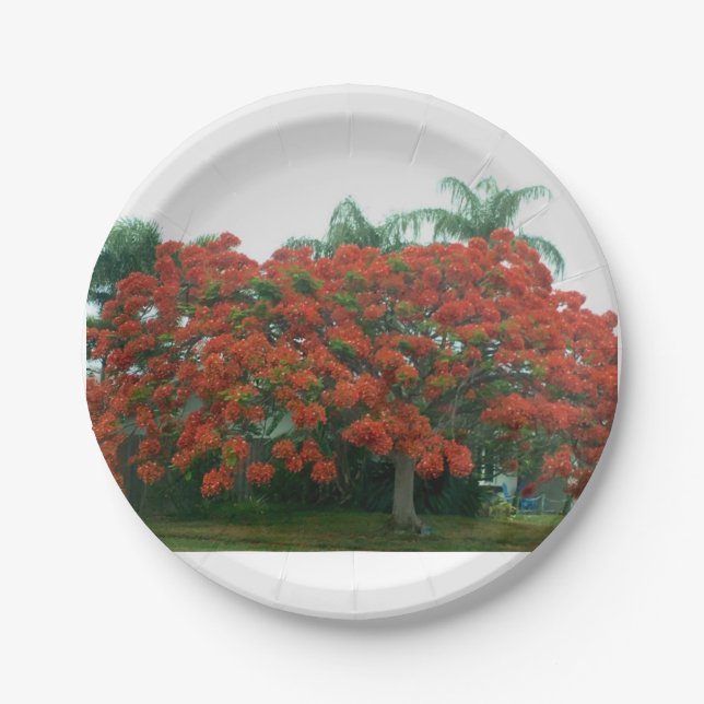 Assiettes En Carton plaque (Devant)