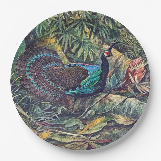 Assiettes En Carton Plaque à papier animale d'oiseau de faisan de paon (Devant)