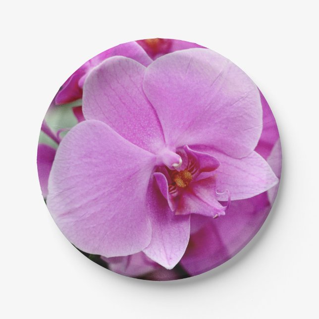 Assiettes En Carton Plaque à papier de belle orchidée (Devant)