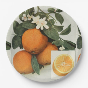 Assiettes En Carton Plaque à papier d'ORANGES