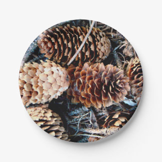 Assiettes En Carton Plaque de fête du cône de pin
