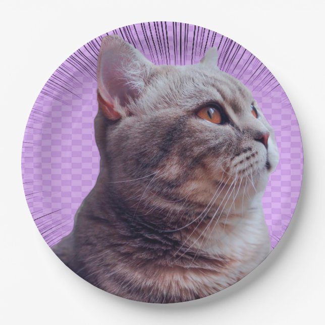 Assiettes En Carton Plaque de papier (Devant)