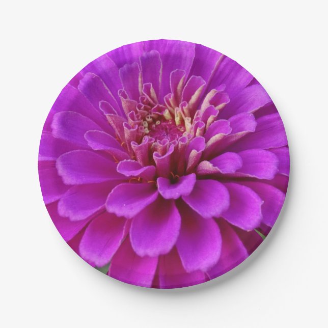 Assiettes En Carton Plaque de papier (Devant)