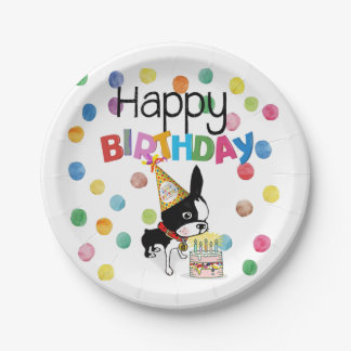 Assiettes En Carton Plaque de papier d'anniversaire Mirabelle Boston t