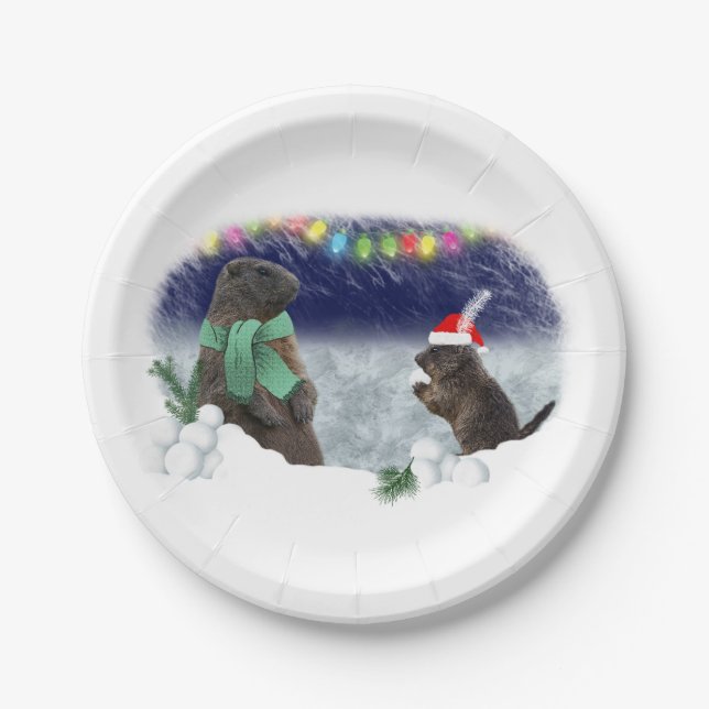 Assiettes En Carton Plaque de papier de combat de boule de neige (Devant)