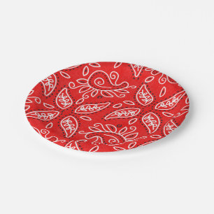 Assiettes En Carton Plaque de papier de la fête motif de Pays Paisley