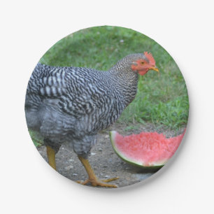 Assiettes En Carton Plaque de papier de poulet et de pastèque