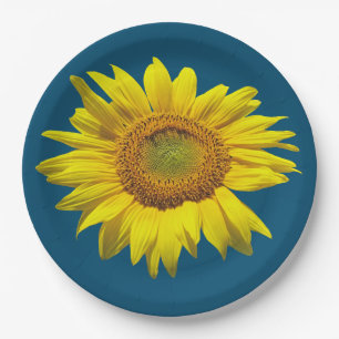 Assiettes En Carton Plaque de papier de tournesol bleu turquoise