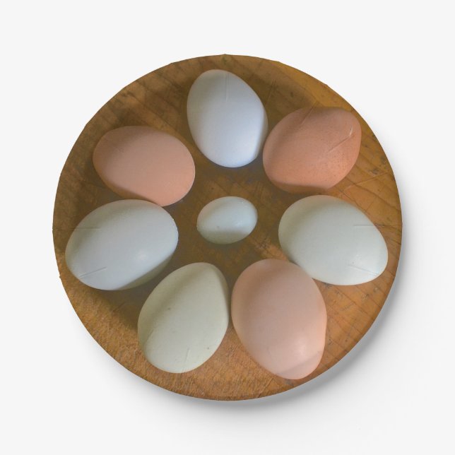 Assiettes En Carton Plaque de papier d'oeuf de poulet (Devant)