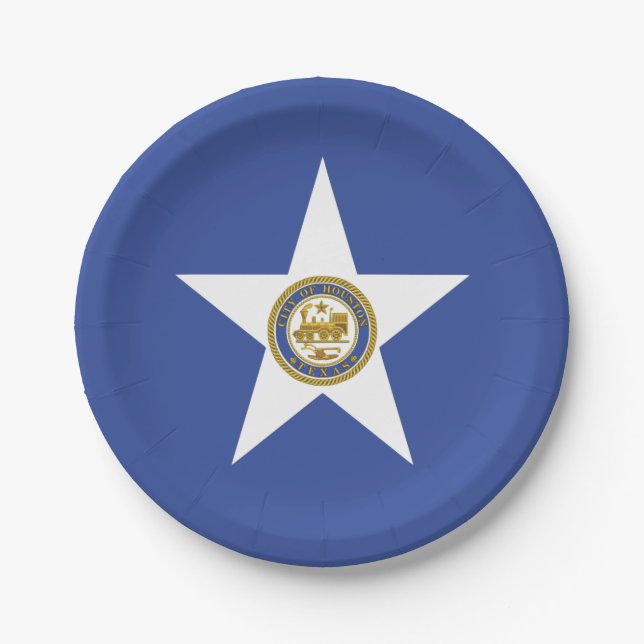Assiettes En Carton Plaque de papier patriotique avec drapeau de Houst (Devant)
