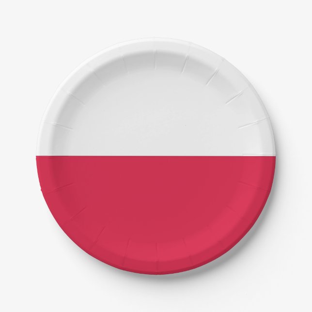 Assiettes En Carton Plaque de papier patriotique avec drapeau de la Po (Devant)