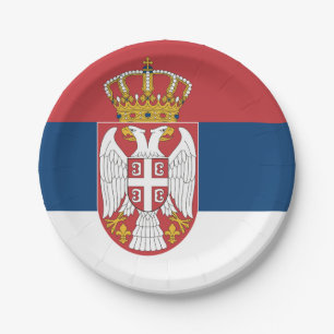 Assiettes En Carton Plaque de papier patriotique avec drapeau de la Se