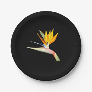 Assiettes En Carton Plaque de papier Plante Bird of Paradise