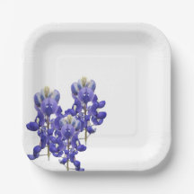 Plaque de papier Texas Bluebonnet