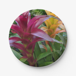 Assiettes En Carton Plaque en papier de bromelière
