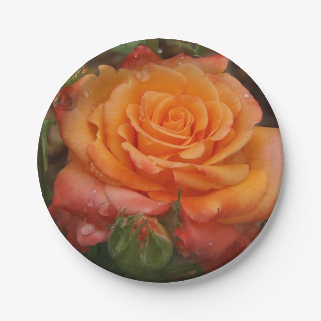 Assiettes En Carton Plaque en papier Rose orange (Devant)