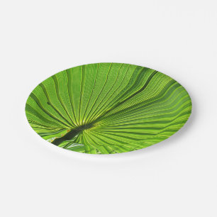 Assiettes En Carton Plaque papier - Palme tropicale