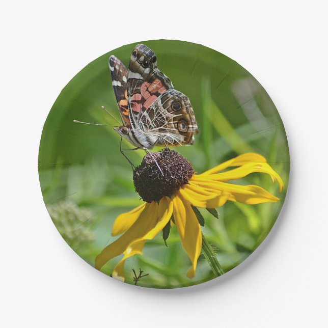 Assiettes En Carton Plaque Papier papillon (Devant)