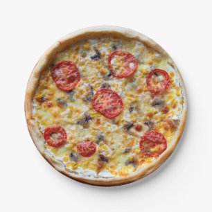 Assiettes En Carton Plaques à papier de partie de pizza de fromage
