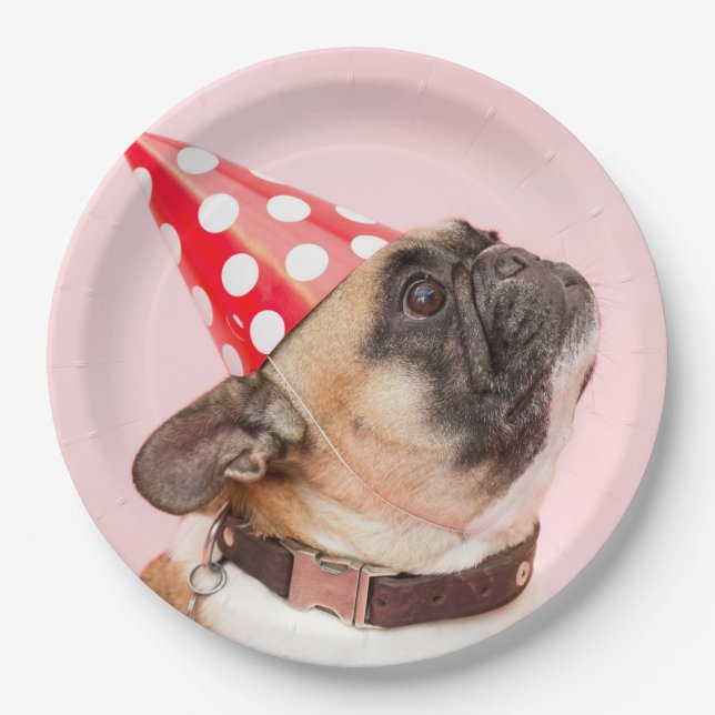 Assiettes En Carton Plaques à papier jetables de partie de chien de (Devant)
