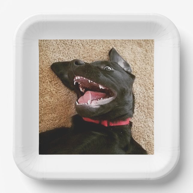 Assiettes En Carton Plaques Ashley Noms (Recto)